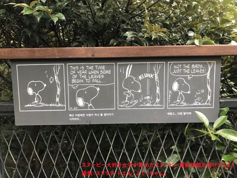 スヌーピーガーデン・ウッドストックのコミック9