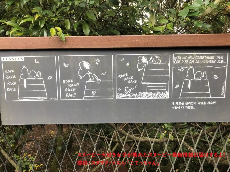 スヌーピーガーデン・ウッドストックのコミック10