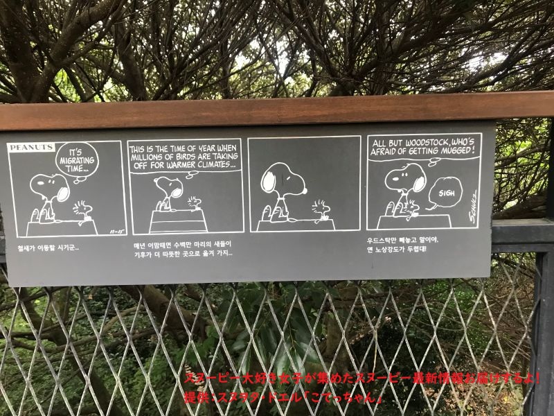 スヌーピーガーデン・ウッドストックのコミック11