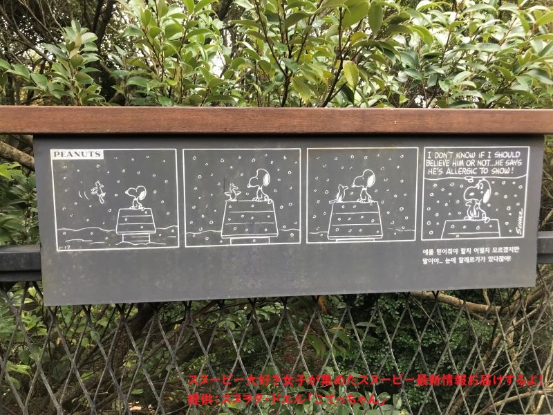 スヌーピーガーデン・ウッドストックのコミック12