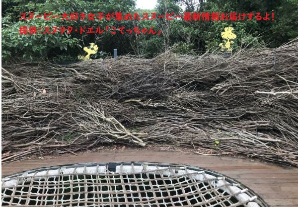 スヌーピーガーデン・ウッドストックと巣