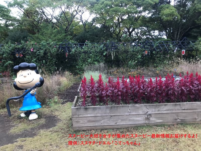 スヌーピーガーデン・水やりルーシー