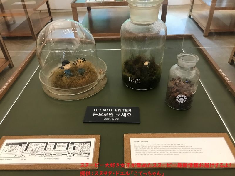 スヌーピーガーデン・ガーデニングスクール2