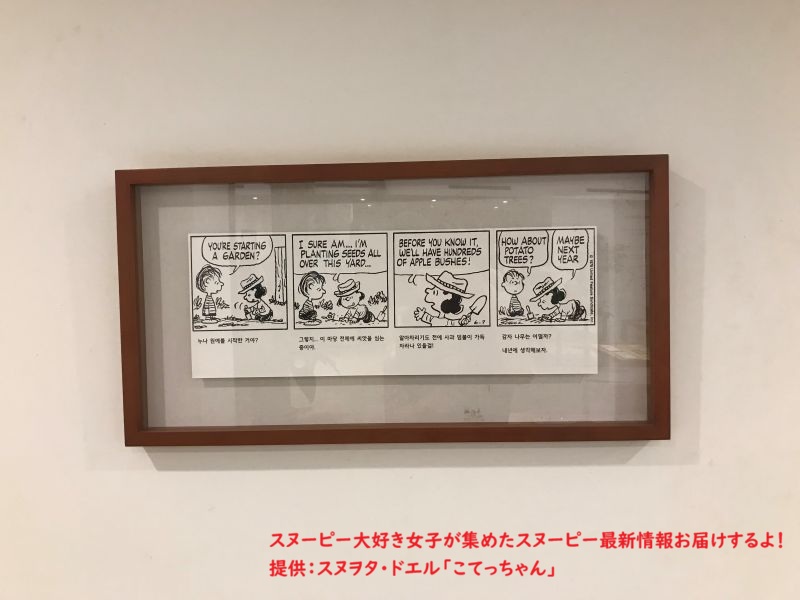 スヌーピーガーデン・ガーデニングのコミック3