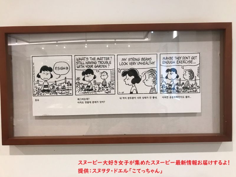 スヌーピーガーデン・ガーデニングのコミック5