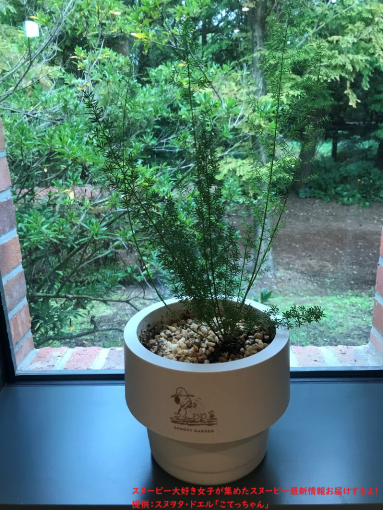 スヌーピーガーデン・ガーデニングスクール・ライブラリーの植木鉢