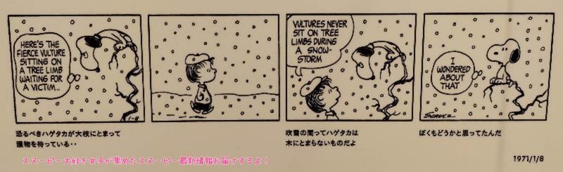 スヌーピーミュージアムエントランス15