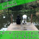 スヌーピーガーデン野外ガーデン11エリア韓国済州島こてっちゃんレポ