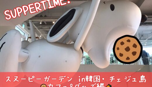 下のソーシャルリンクからフォロー