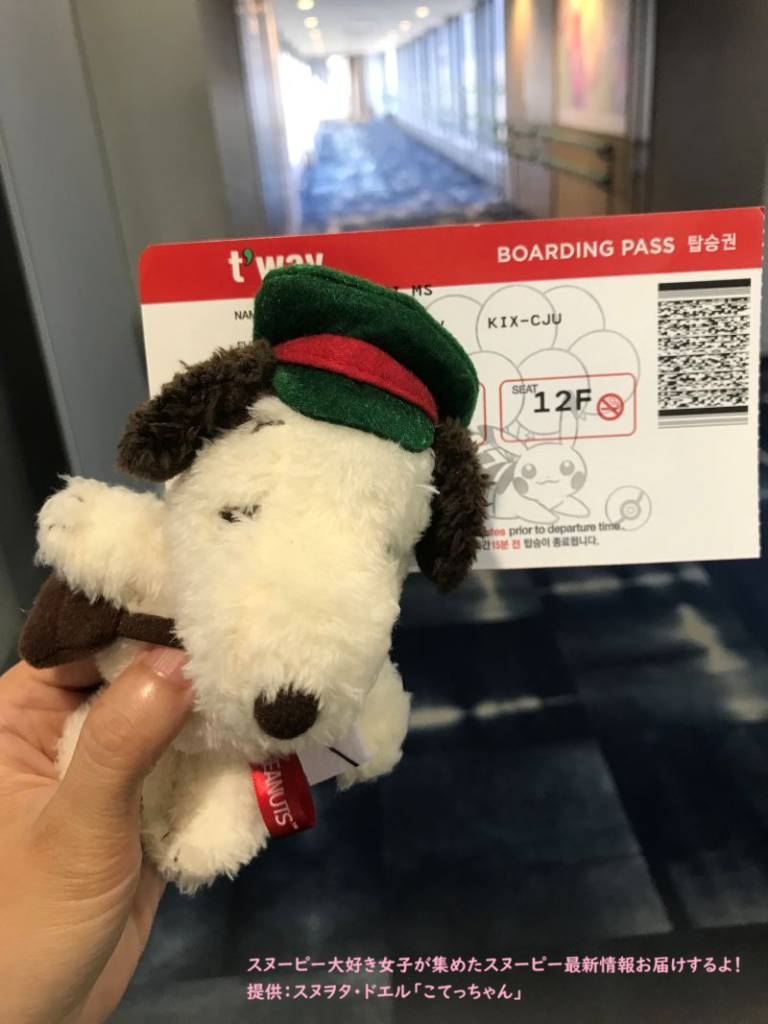 スヌーピーガーデン・チェジュ・ティーウェイ航空券