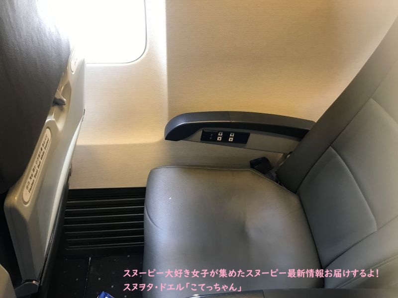 スヌーピーガーデン・ティーウェイ航空・座席