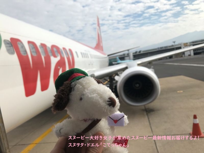 テーウェイ航空・飛行機