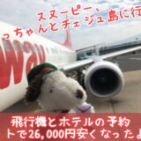 スヌーピーガーデン行ってきた韓国チェジュ島こてっちゃんレポ飛行機ホテル