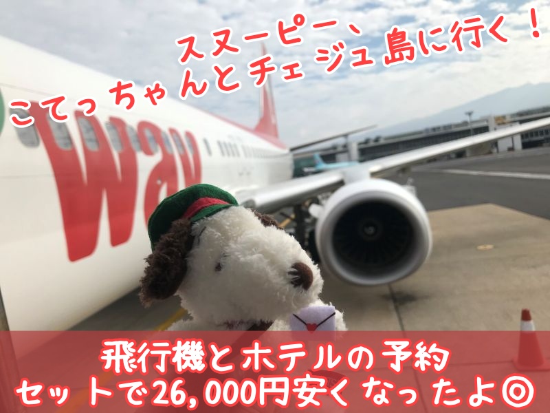 スヌーピーガーデン行ってきた韓国チェジュ島こてっちゃんレポ飛行機ホテル
