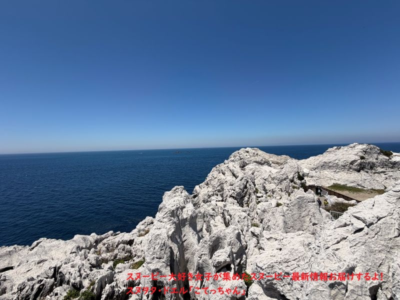 スヌーピー島 展望台10