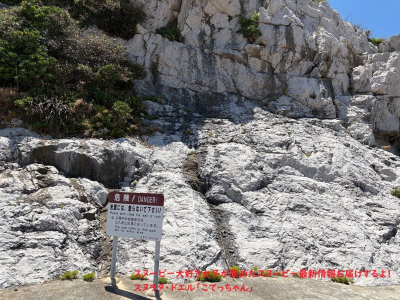 スヌーピー島 石灰岩③