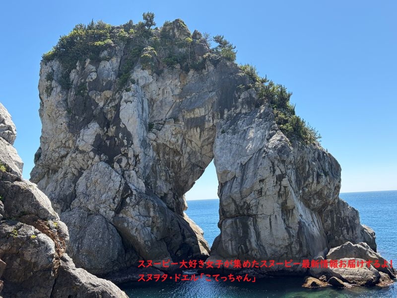 白崎海洋公園 立巌岩②